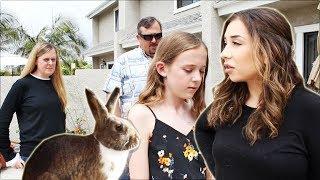 HOUSE RABBIT MAKEOVER | EPISODE 1