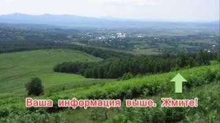 Поставьте доход на автопилот