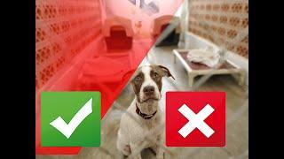 8 Signs of a Bad Boarding Kennel