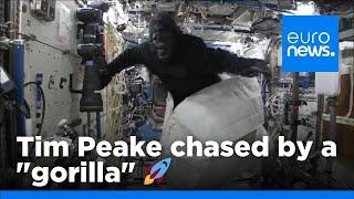 Tim Peake chased through ISS by a "gorilla" | euronews 