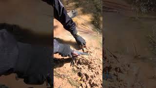 49. Metal Detecting Short Videos #short #metal #metaldetecting #metaldetector