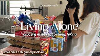 Living Alone in the Philippines: What does a 3k grocery look like, ref restock, cooking, hiking ️