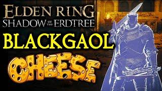 ELDEN RING DLC BOSS GUIDES: How To Cheese Blackgaol Knight!