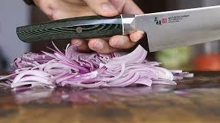 Mcusta Zanmai SG2 210mm Gyuto vs Red Onion