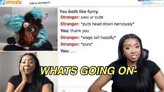 FLIRTING WITH FURRIES ON OMEGLE