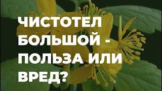 Чистотел большой - полезные свойства и народные рецепты / Захар Травник