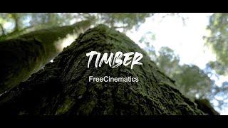 Timber No Copyright Videos With No Copyright Music - Forest Videos - FreeCinematics