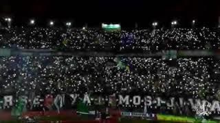 Lagu reggea emosi jiwaku #persebayasquad