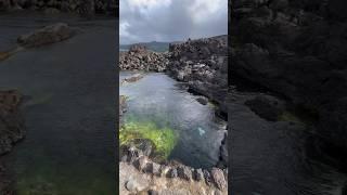 Natural pools of Sao Roque in Pico Azores Islands #naturalpools #azores #portugal