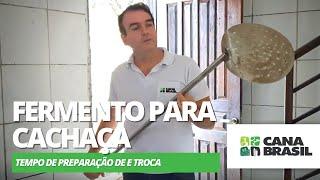 Fazer fermento para cachaça , preparar o fermento é fundamental para a qualidade da cachaça