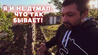 КУПИЛИ ДОМ НА ХУТОРЕ | Я СЕГОДНЯ ВЕСЬ В ПОДАРКАХ | ДЕРЕВЕНСКАЯ ЖИЗНЬ #жизньвдеревне #хутор #купилдом