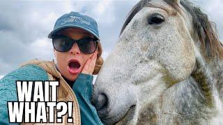 We Found Something Out About Belle…