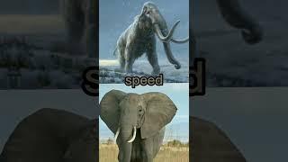 Mammoth vs Elephant | VS Battle #shorts