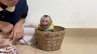 Max In Vine Basket Anqrily Mom Not Take Him To Hug