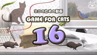 【猫用動画MIX16】ネズミ・紐・蛙・猫じゃらし 30分 GAME FOR CATS 16