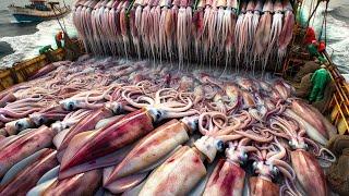 Fishermen Catch And Process Millions Of Giant Squid This Way