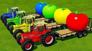 TRANSPORT GIANT TOMATOES WITH CASE TRACTORS - Farming Simulator 22