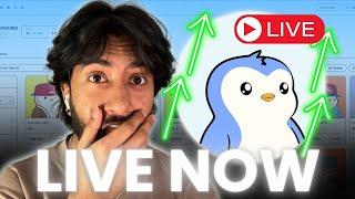 $PENGU IS THE NOW LIVE? HOW TO BUY $PENGU!