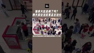 加拿大这次真的疯了， #加拿大移民 #加拿大 #温尼伯 以后加拿大不叫加麻大应该叫加毒大了吧