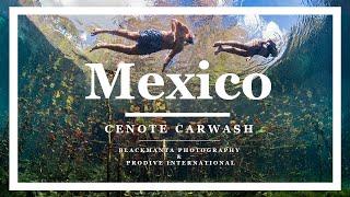 CENOTE CAR WASH | PRO DIVE INTERNATIONAL