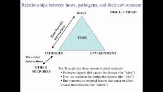 Host-Pathogen Interactions I:  Person-to-Person microbial diseases