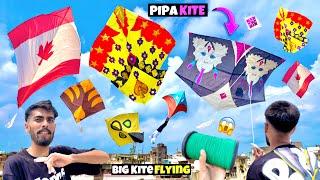 Flying Kites On Raksha Bandhan  Brazilian Pipa Kite  Kites Festival  Kites Vlog