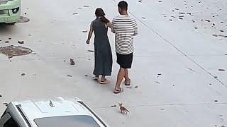 Я думала, кто-нибудь заберёт котят домой, но нет. Что ж, тогда я вас выращу!