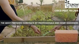 Grow your Own Coco Peat 10 Litre