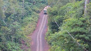 Dangerous! Met Logging Truck While Driving with load of Large Woods