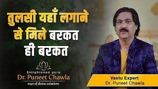 तुलसी कब कैसे कहा लगाए। तुलसी माँ बरसाएगी धन | Vastu For Tulsi | Dr Puneet Chawla