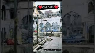 Old Delhi  street Food | Delhi food walks #shorts