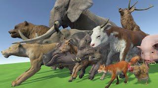 Animals SPEED COMPARISON 3D | Realistic World Data