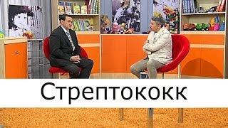 Стрептококк - Школа доктора Комаровского