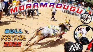 Moramadugu Bull Festival 2025 Moramadugu Jallikattu 2025 Moramadugu 2025 Erudhukattu 2025 Jallikattu