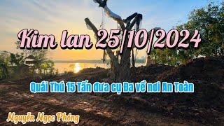 Kim Lan ngày 25/10/2024 Cụ Đa đã đến vị trí an toàn nhờ quái thú 15 tấn cẩu ! Nguyễn Ngọc Phóng