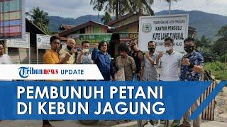 Pelaku Pembunuhan di Kebun Jagung Aceh Tenggara Ditangkap, Sempat Sembunyi di Pegunungan