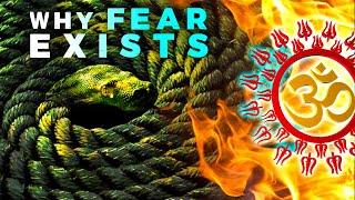 Why You Live in Fear (The Rope and Snake Analogy)