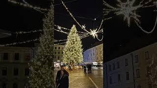 Ljubljana, Slovenia - Prezeden Square #travel #slovenia #christmas #goingplaces #ljubljana