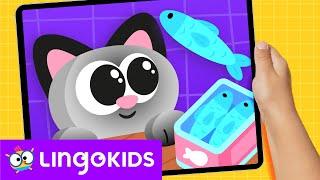 Help us to TAKE CARE OF THE KITTENS ️ | Lingokids Activities ️