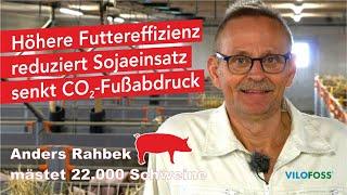 Erfahrungsbericht Schweinemast mit NutriSpar - VILOFOSS