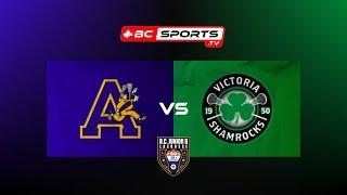 BCJBLL Playoffs - Coquitlam Adanacs - Victoria Shamrocks - July 28, 2024