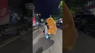 Capybara #funny #daily #fyp #shorts  #entertaining #emtraidr