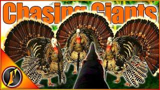 Chasing Giant Gobblers in the Most Realistic Turkey Hunting Game! | The Season