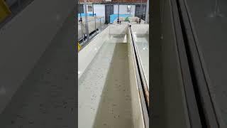 Рыбный Хуторок Осетровая ферма