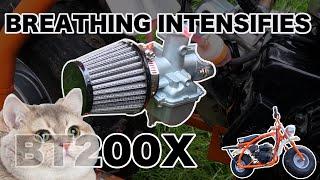 Coleman BT200X | What will a VM22 carb do for the mini bike? | Wet Coast Fab