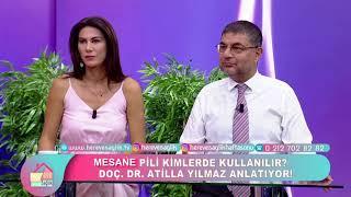 Mesane Pili hangi hastalıklarda uygulanır?