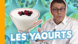 Quels Yaourts Choisir ? Nature, Bio, au Lait de Vache ou de Brebis...