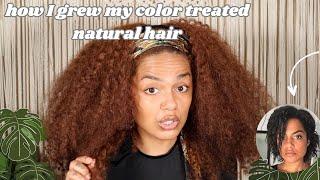 COLOR TREATED NATURAL HAIR: HOW I GREW IT + HEALTH TIPS