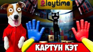 ХАГГИ ВАГГИ это КАРТУН КЭТ Мод Poppy Playtime