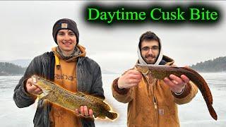 Ice Fishing For Spawning Burbot | Cusk Jigging NH